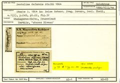Karteikarte zum Holotyp von Dentalina deformis Stache, 1864